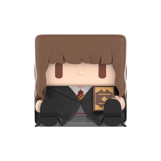 POP MART Harry Potter POP CUBE 3 – Figurine Blind Box Stylisée