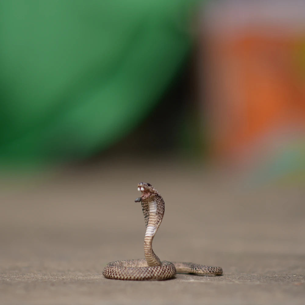 Schleich Style Figurines Animaux 12 Cm Édition Limitée Collection Pour Enfants Passionnés by Mon Labubu