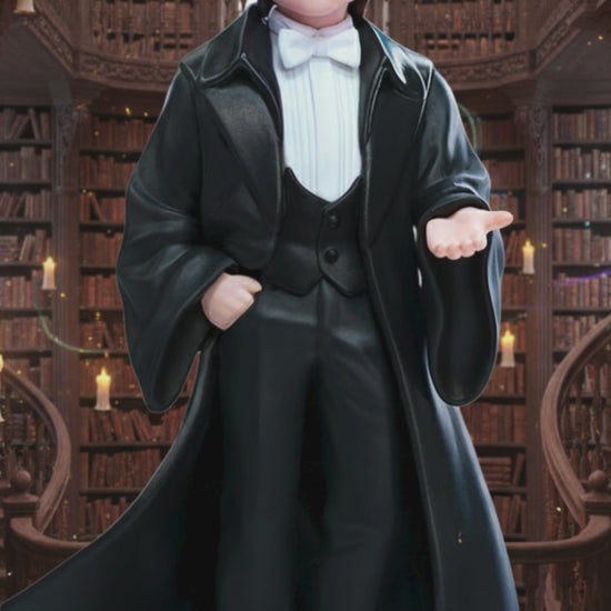 video présentation Harry potter figurine